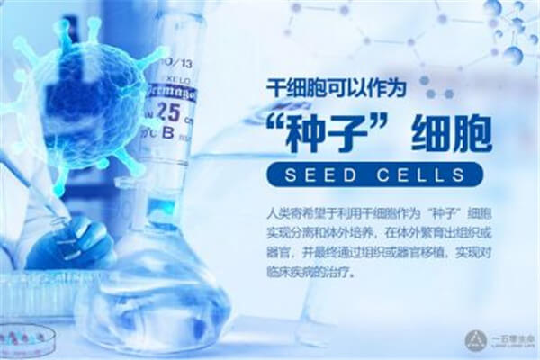 干细胞抗衰老,让衰老放慢脚步