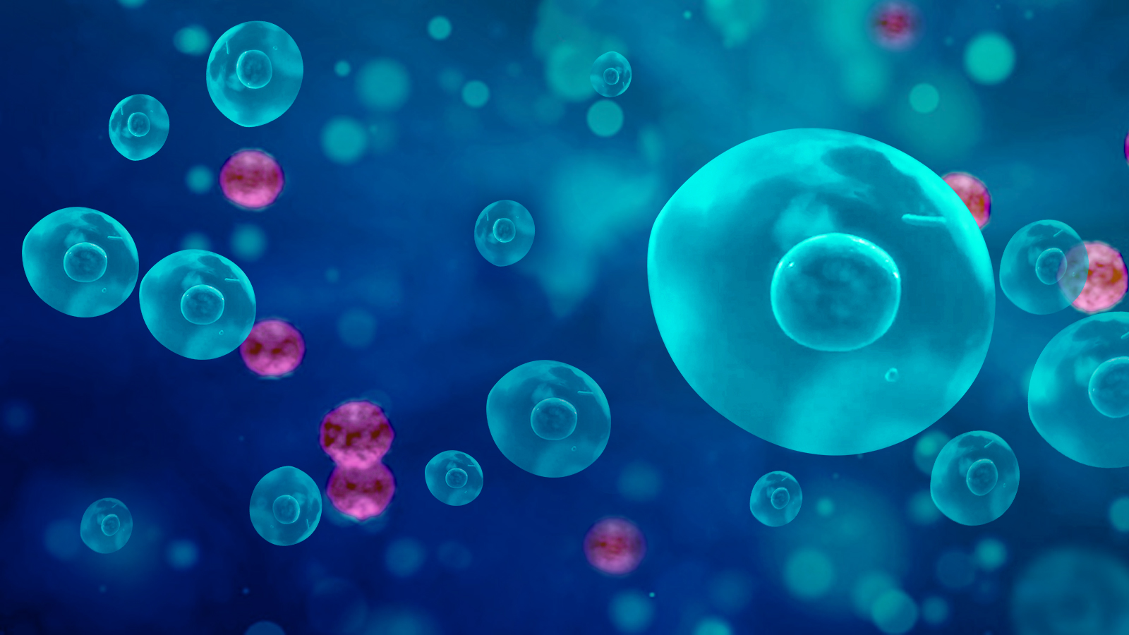 干细胞疗法可延缓衰老进程!